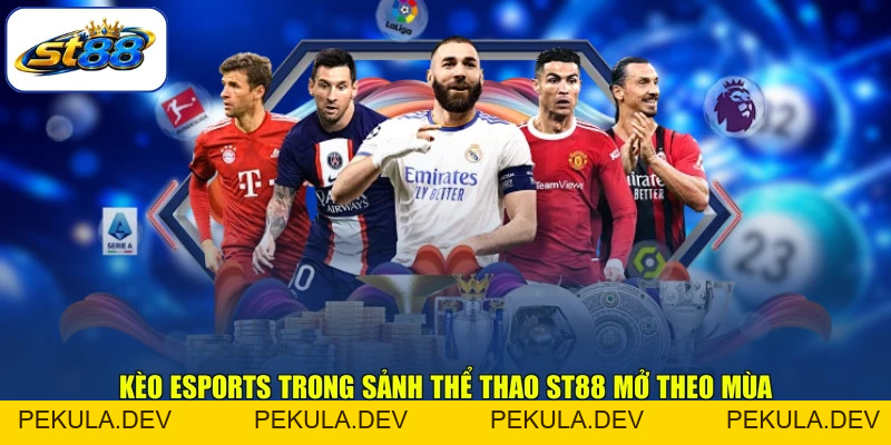 Thể Thao ST88 Và Trải Nghiệm Đặt Cược Trọn Mùa Giải - PEKULA