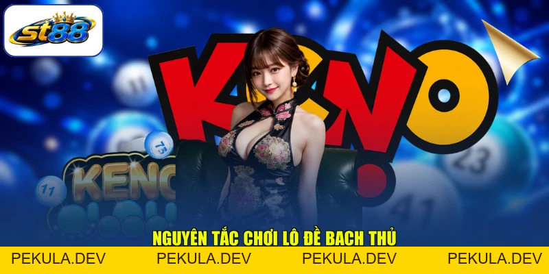 Lô Tô Bạch Thủ - Tìm Hiểu Cách Chơi Và Điều Đáng Chú Ý - PEKULA