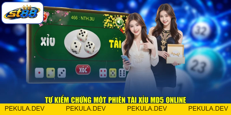 Tài Xỉu MD5 Online ST88 Kiểm Chứng Rõ Từng Mã Phiên - PEKULA